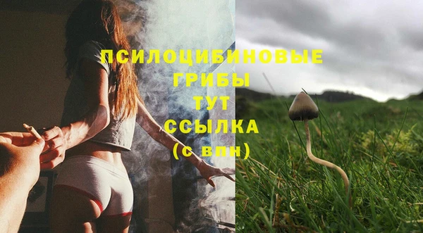 COCAINE Абаза
