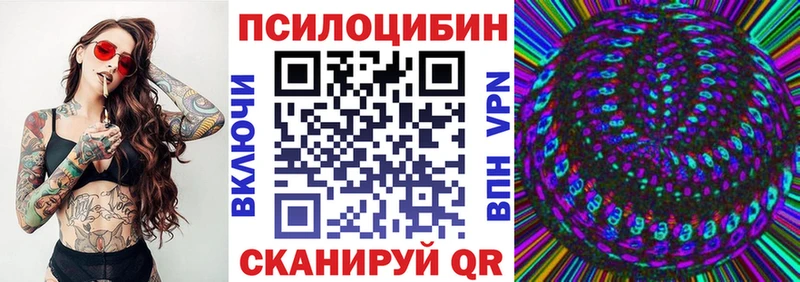 где купить   Ртищево  Псилоцибиновые грибы Psilocybine cubensis 