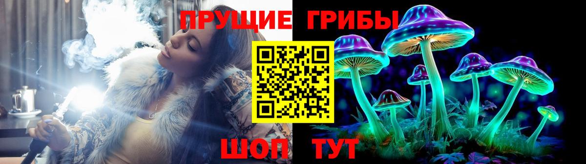 Галлюциногенные грибы Psilocybine cubensis  Вход с VPN  купить закладку  Ртищево 